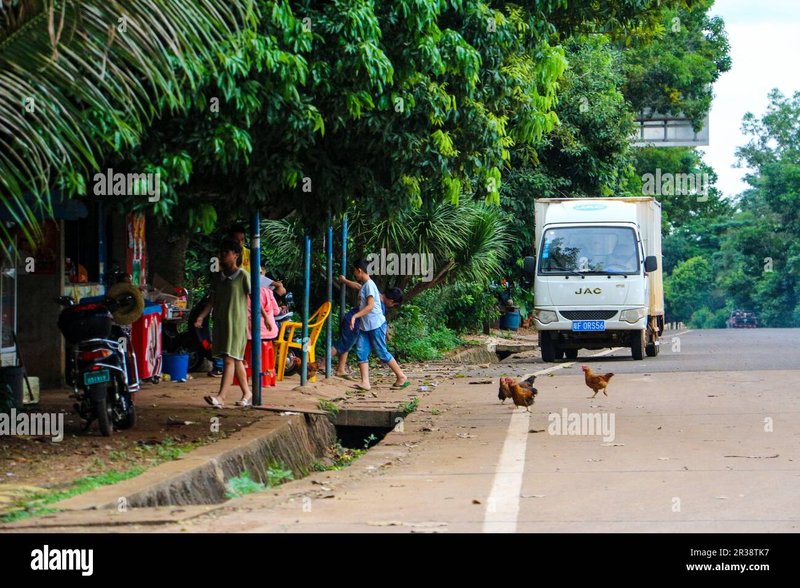 Chicken road slot, chicken road spel